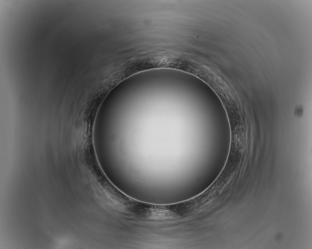X0000097920605200803211529