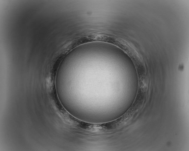 X0000097920607200803211529