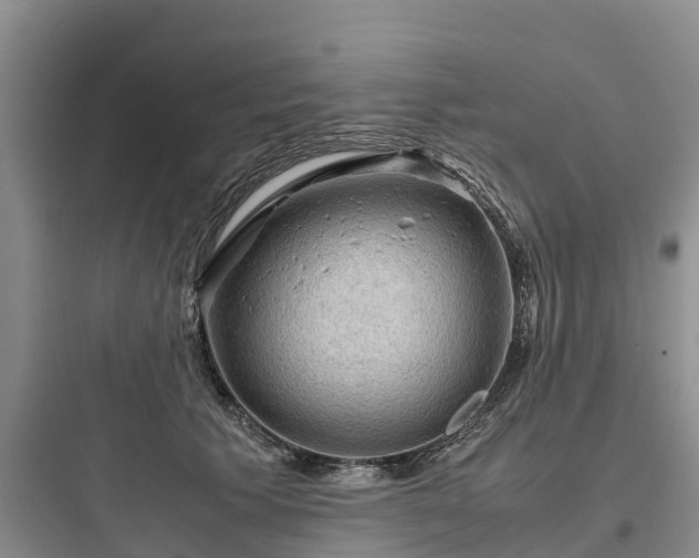 X0000097920609200803211529