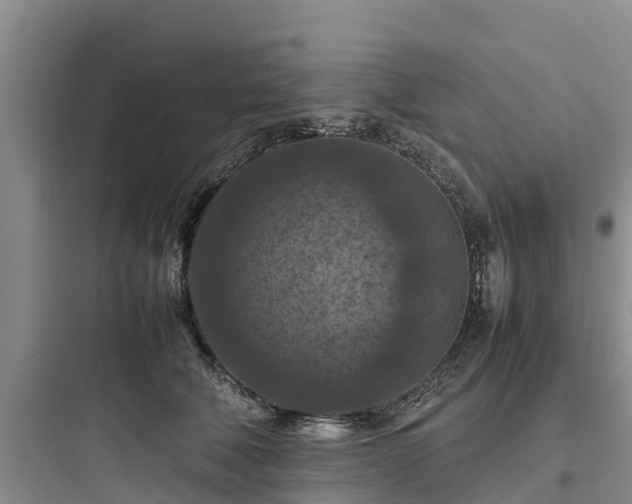 X0000097920610200803211529