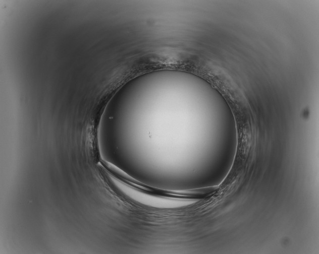 X0000097920612200803211529