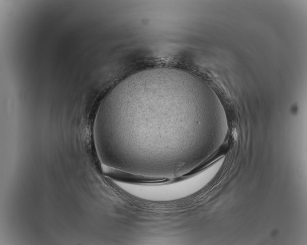 X0000097920613200803211529