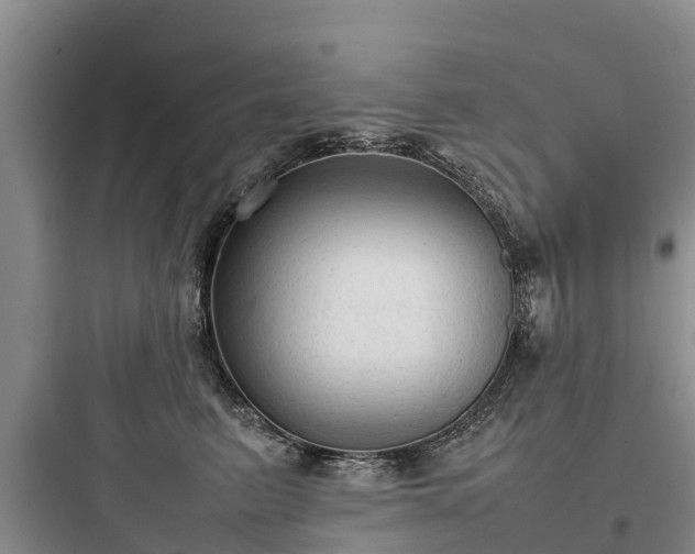 X0000097920615200803211529