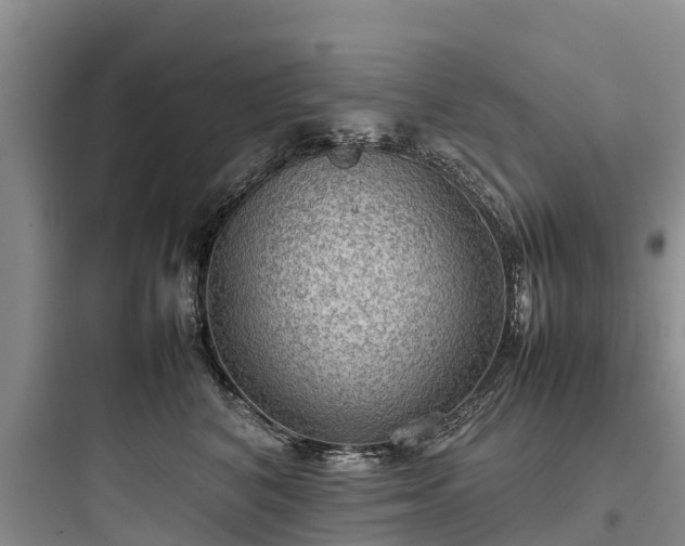 X0000097920616200803211529