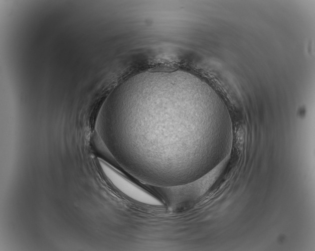 X0000097920617200803211529
