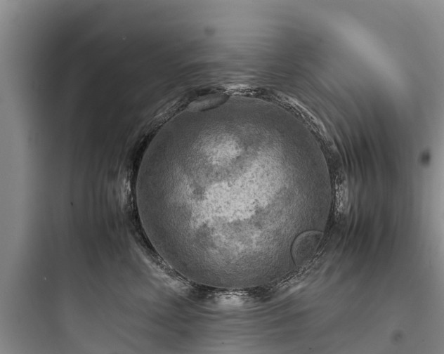 X0000097920618200803211529