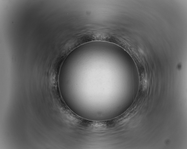 X0000097920619200803211529