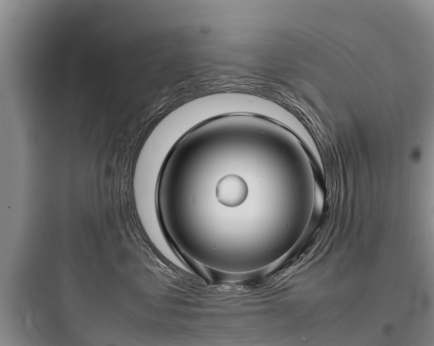 X0000097920621200803211528