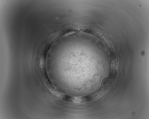 X0000097920623200803211528