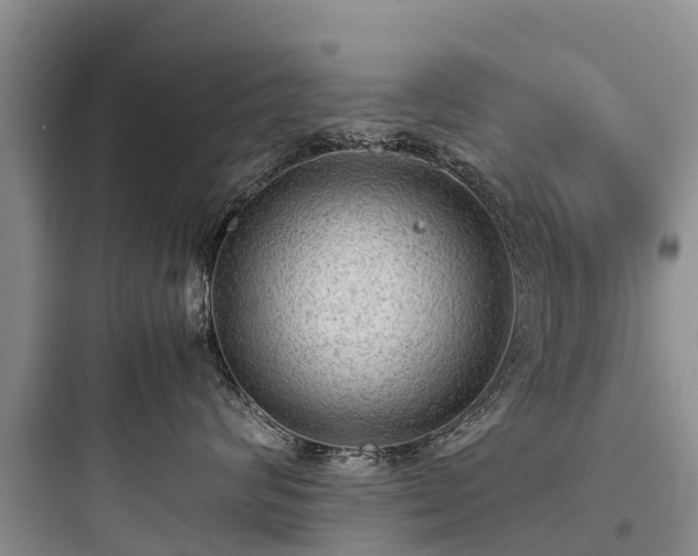 X0000097920624200803211528