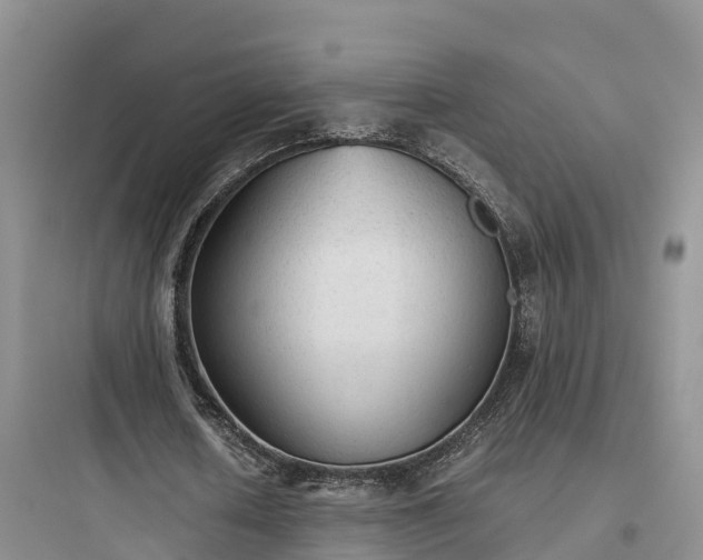 X0000097920626200803211528