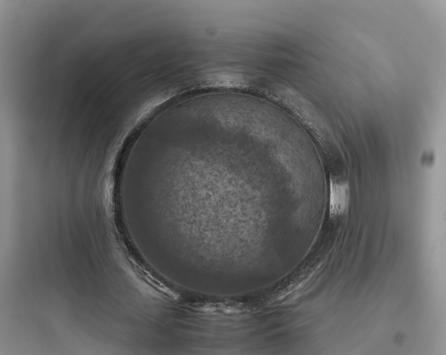 X0000097920627200803211528