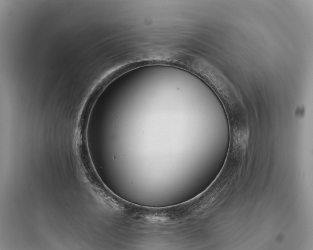 X0000097920628200803211528