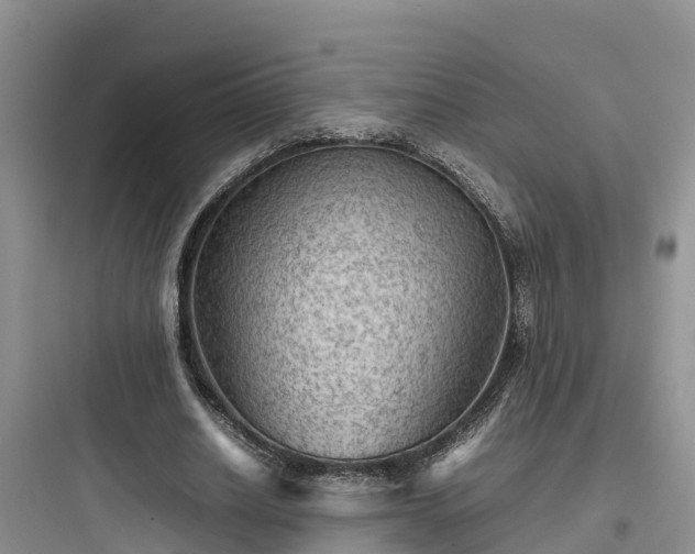 X0000097920630200803211528