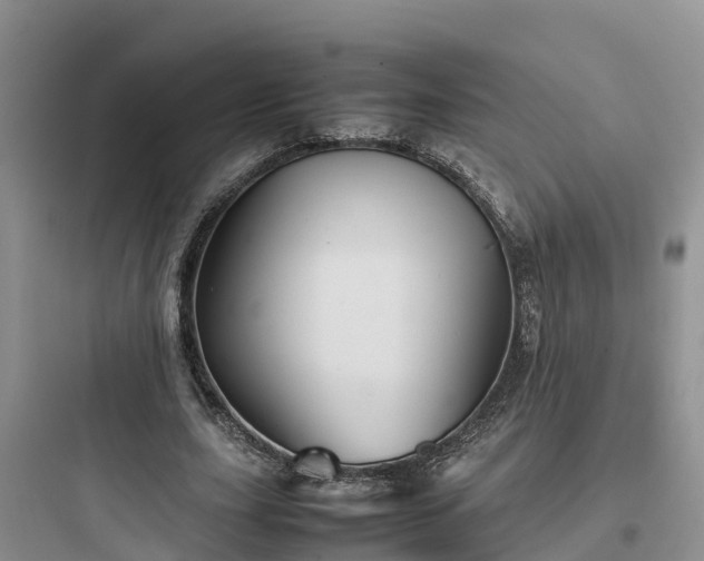 X0000097920631200803211528