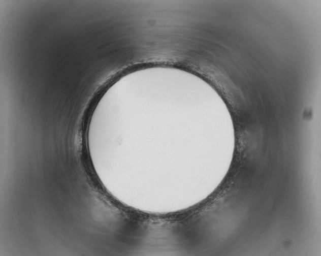 X0000097920632200803211528