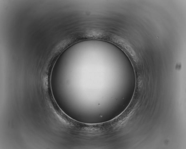 X0000097920633200803211528