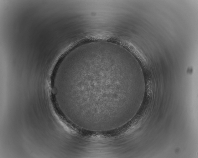 X0000097920634200803211528
