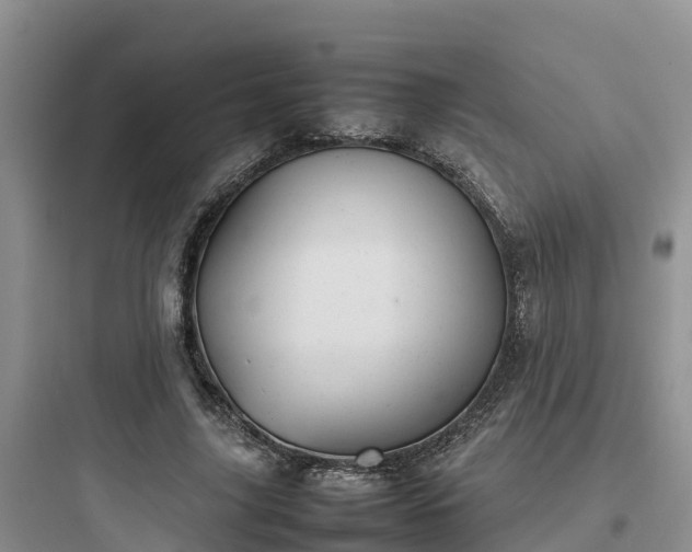 X0000097920635200803211528