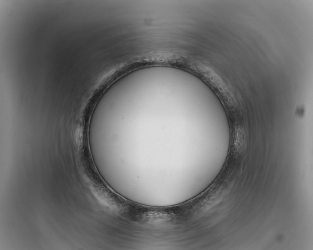 X0000097920636200803211528