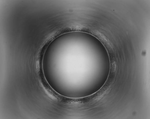 X0000097920638200803211528