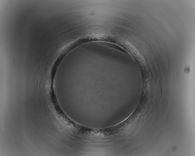 X0000097920640200803211528