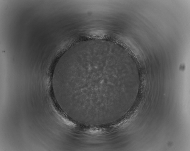 X0000097920641200803211528