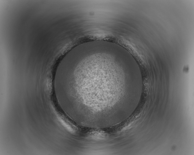 X0000097920642200803211528