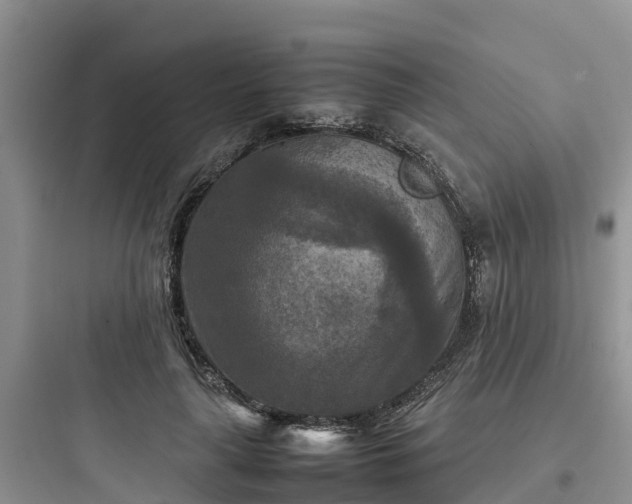 X0000097920643200803211528