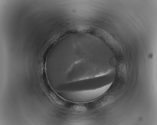X0000097920644200803211528