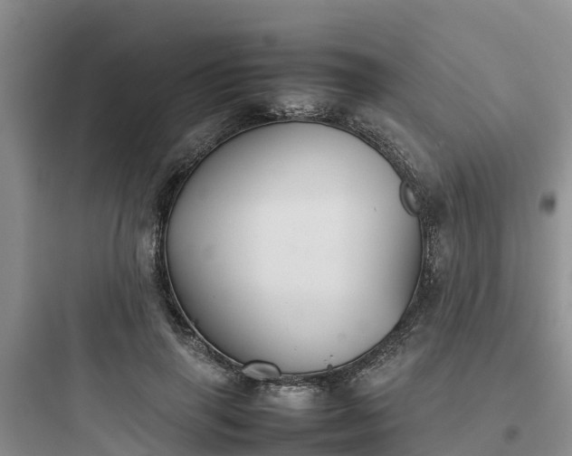X0000097920645200803211528