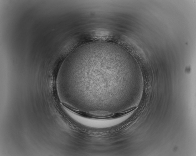 X0000097920647200803211528