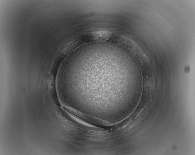 X0000097920649200803211528