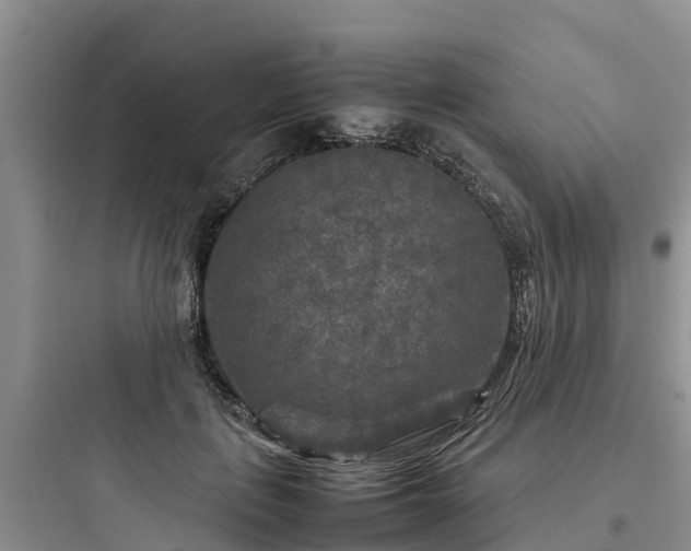X0000097920651200803211528