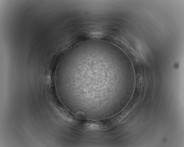 X0000097920655200803211528