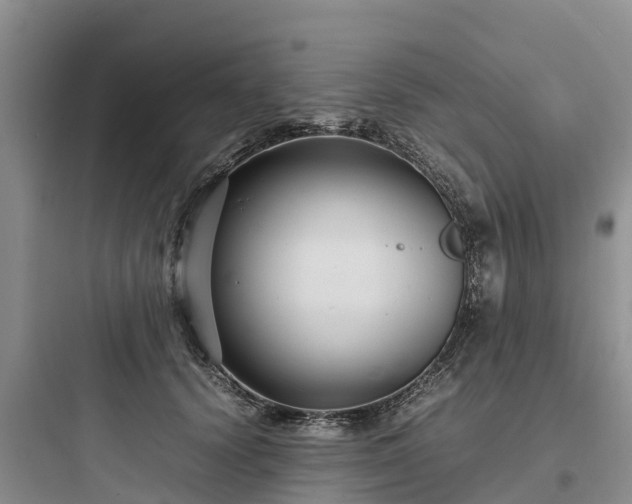 X0000097920656200803211528