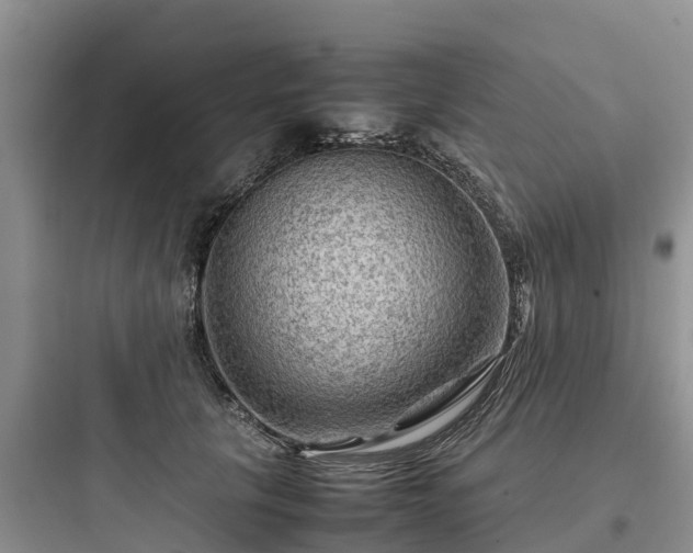 X0000097920657200803211528