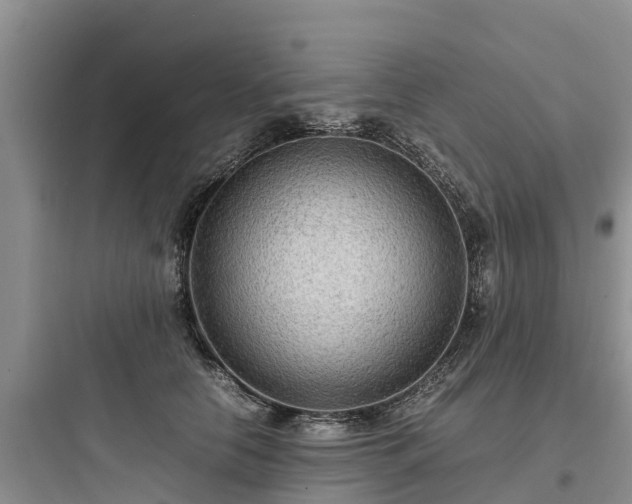 X0000097920658200803211528