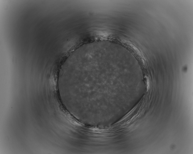 X0000097920661200803211528
