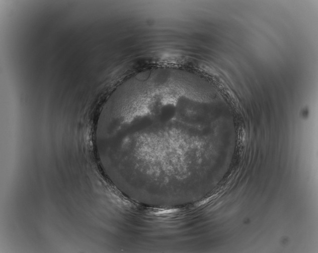 X0000097920663200803211528
