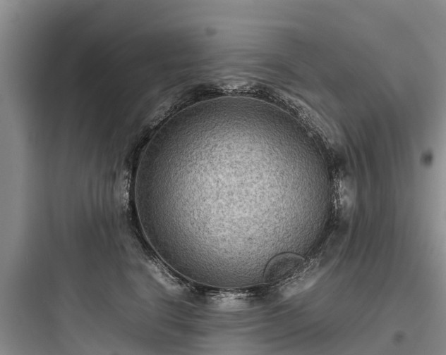 X0000097920664200803211528