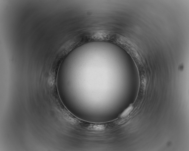 X0000097920665200803211528
