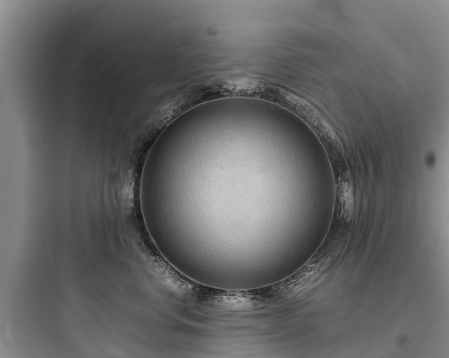 X0000097920668200803211528