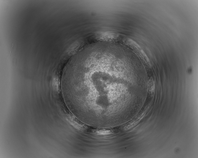 X0000097920669200803211528