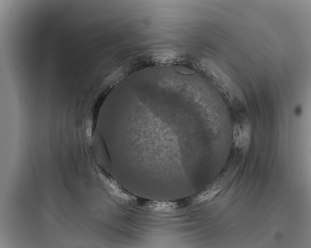 X0000097920670200803211528