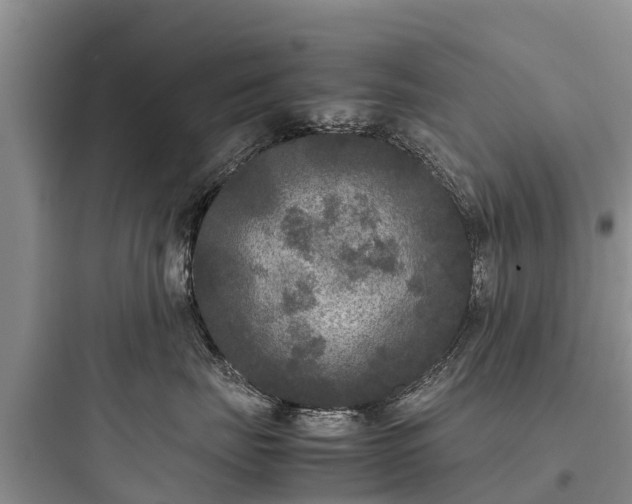 X0000097920671200803211528