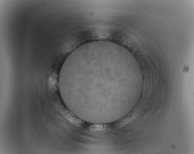 X0000097920672200803211528