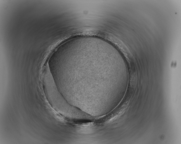 X0000097920673200803211528
