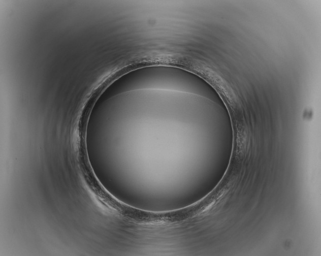 X0000097920674200803211528