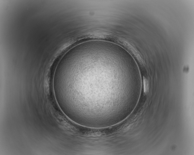 X0000097920675200803211528